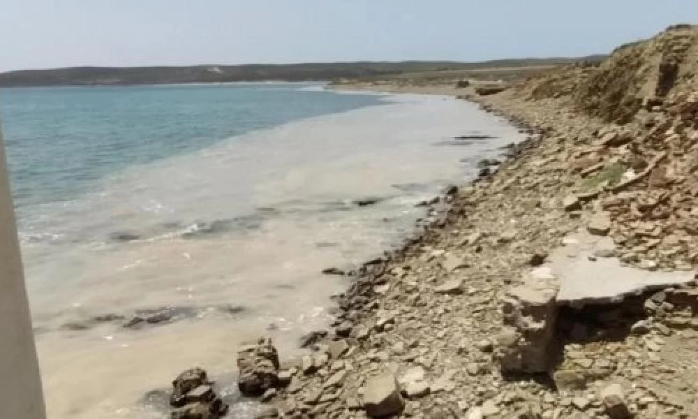 Λήμνος: Επιθεωρητές μεταβαίνουν στο νησί για την θαλάσσια βλέννα